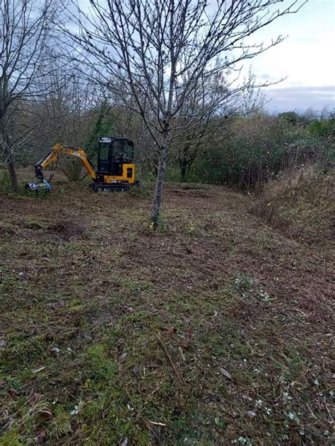 rat removal blandford forum